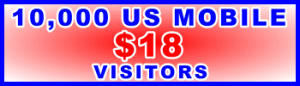 350x100_10,000_US Mobile_18USD: Sales Support Banner Link