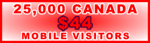 350x100_25,000_Canada_44USD: Sales Support Banner Link