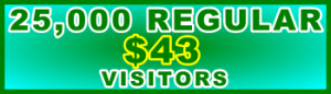 350x100_25,000_Regular_43USD: Sales Support Banner Link