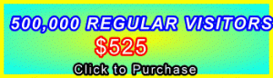 350x100_500,000 Regular Visitors: Sales Support Banner