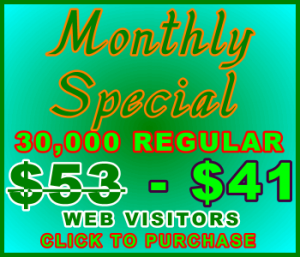 350x100_Regular_Monthly_30,000_43USD: Sales Support Special Offer Banner Link