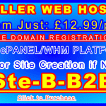 728x400_Hosting Reseller _B2B_12.99GBPpm : Sales Support Banner Link