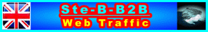 950x150 Blue Ste-B-B2B/Web-Traffic Site Navigation Support Banner