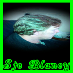 ste_blaney special: Support Team Member Profile Pic