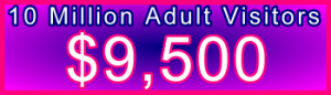 350x100_10million_adult_9,500usd: Sales Support Banner Link