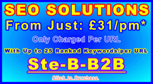 728x400_SEO Solutions _B2B_31GBPpm: Sales Support Banner Link