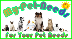 MPN_550x300_Header_Image: Affiliate Marketing Banner Ad Sales Support