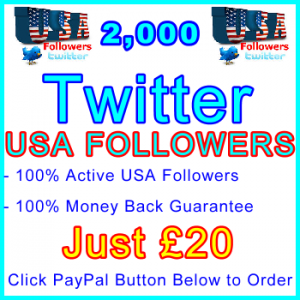 db-B2B-UK 2,000 USA Twitter Followers 20GBP: Service-Type Visitor Support Banner