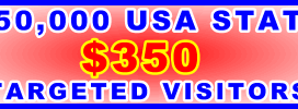 350x100__250,000 US State 350USD: Visitor Sales Support Banner