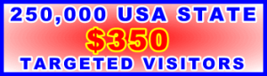 350x100__250,000 US State 350USD: Visitor Sales Support Banner