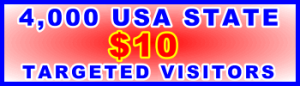 350x400_USA State Traffic 4000 Visitors Sales Support Banner