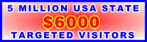 350x100__5 Million US State 6,000USD: Visitor Sales Support Banner