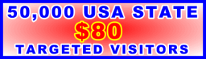 350x100__50,000 US State 80USD: Visitor Sales Banner Support