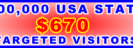 350x100__500,000 US State 670USD: Visitor Sales Support Banner