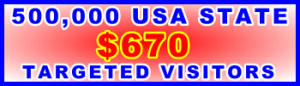 350x100__500,000 US State 670USD: Visitor Sales Support Banner