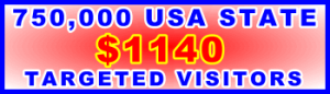 350x100__750,000 US State 1,140USD: Visitor Sales Support Banner