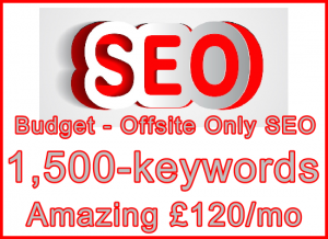 Ste-B-B2B SEO 1500kws Budget Red £120mo: Visitor Sales Information Support Banner