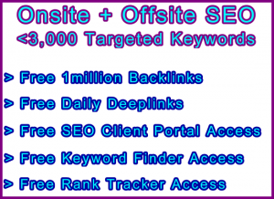 Ste-B-B2B SEO Onsite and Offsite Slider Image: Visitor Sales Information Support Banner