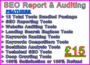 Ste-B-B2B SEO Reporting-Auditing Tools £15: Visitor Sales Information Support Banner
