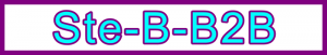 Ste-B-B2B Homepage Title Header: Visitor Navigation Information Support Banner