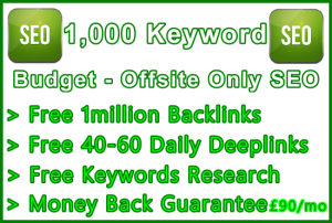 Ste-B-B2B SEO-Solutions Offsite SEO 1000 keywords £90: Visitor Sales Support Information Banner