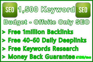 Ste-B-B2B SEO-Solutions Offsite SEO 1500 keywords £120: Visitor Sales Support Information Banner