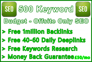 Ste-B-B2B SEO-Solutions Offsite SEO 500 keywords £50: Visitor Sales Support Information Banner