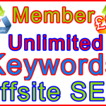 Ste-B2B Offsite SEO Member Unlimited Keywords £95