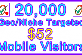 Ste-B-B2B Mobile Visitors 20,000 $52: Visitor Sales Information support banner