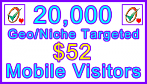 Ste-B-B2B Mobile Visitors 20,000 $52: Visitor Sales Information support banner