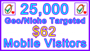 Ste-B-B2B Mobile Visitors 25000 $62: Visitor Sales Information support banner