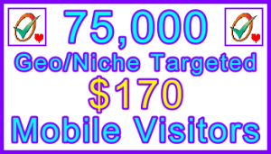 Ste-B-B2B Mobile Visitors 75000 $170: Visitor Sales Information support banner