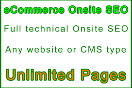 Ste-B-B2B Unlimited Page onsite seo