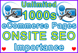 Ste-B-B2B 1000s Pages Unlimited onsite seo: Visitor Sales Information Support Banner
