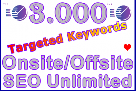 Fiverr SEOLerks 3,000 On-Offsite Ste-B-B2B: Visitor Sales Support Information Banner