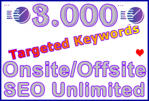 Fiverr SEOLerks 3,000 On-Offsite Ste-B-B2B: Visitor Sales Support Information Banner