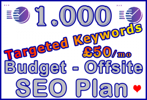Ste-B-B2B SEO-Solutions Offsite SEO 1,000 keywords £50: Visitor Sales Support Information Banner