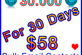 350x300 Emails 30,000 special 30usd: Sales Support Banner Link