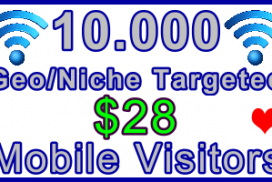 Ste-B-B2B Mobile Visitors 10,000 $28: Visitor Sales Information support banner