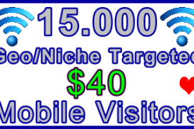 Ste-B-B2B Mobile Visitors 15,000 $40: Visitor Sales Information support banner