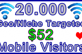 Ste-B-B2B Mobile Visitors 20,000 $52: Visitor Sales Information support banner