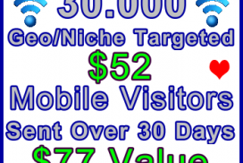 Ste-B-B2B Mobile Visitors 30000 30 days $52: Visitor Sales Information Support Banner