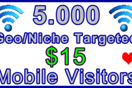 Ste-B-B2B Mobile Visitors 5000 $15: Visitor Sales Information Support Banner