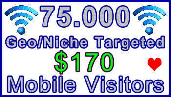 Ste-B-B2B Mobile Visitors 75000 $170: Visitor Sales Information support banner