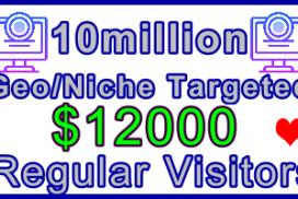 Ste-B-B2B Regular Visitors 10million $12,000: Visitor Sales Information Support Banner