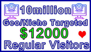 Ste-B-B2B Regular Visitors 10million $12,000: Visitor Sales Information Support Banner