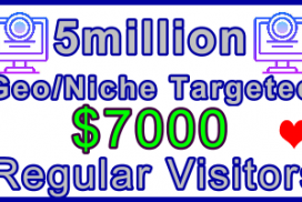 Ste-B-B2B Regular Visitors 5million $7,000: Visitor Sales Information Support Banner