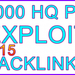 Ste-B-B2B 1000 Exploit Backlinks