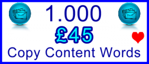Ste-B-B2B 1000 Words Copy £45: Visitor Sales Support Information Banner
