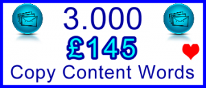 Ste-B-B2B 3000 Words Copy £145: Visitor Sales Support Information Banner